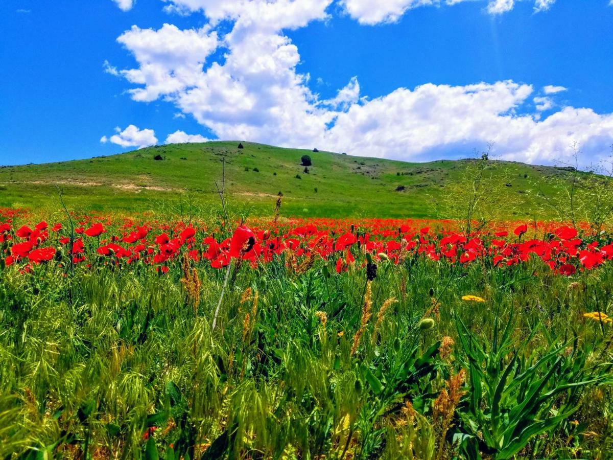 Karine B&B Yeghegnadzor ภายนอก รูปภาพ