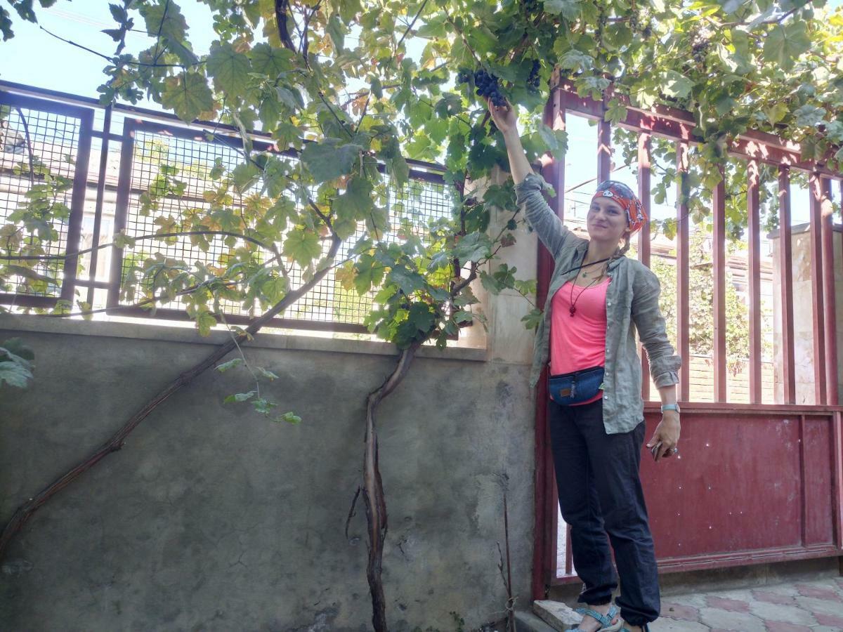 Karine B&B Yeghegnadzor ภายนอก รูปภาพ